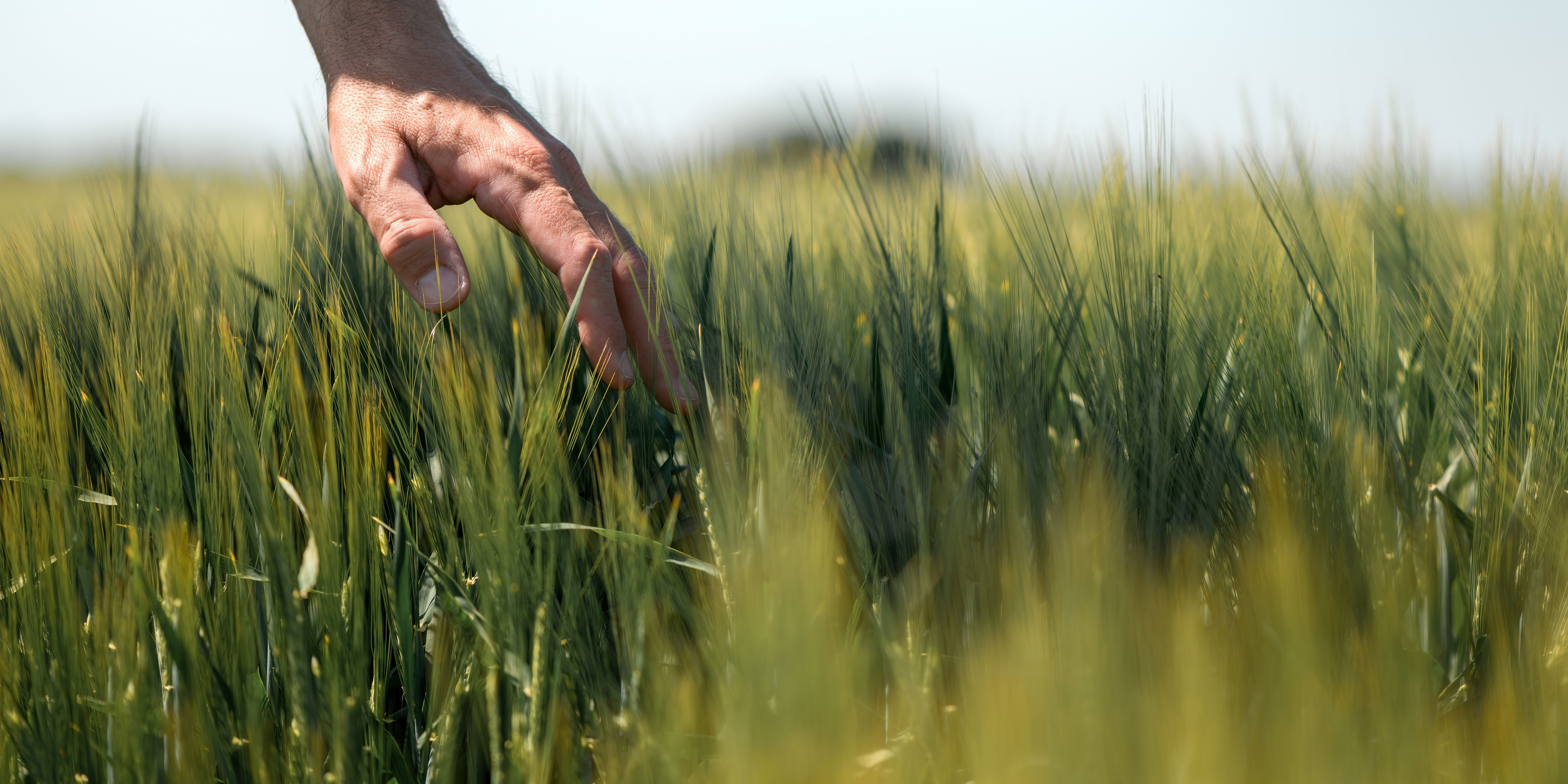 © Bits and Splits - stock.adobe.com