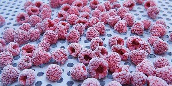 Frosten von Lebensmittel mit Flüssiggasen