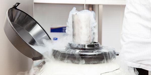 Kryokonservierung mit Stickstoff | © stock.adobe.com - anamejia18